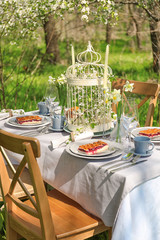 Table setting and cage with flowers in garden