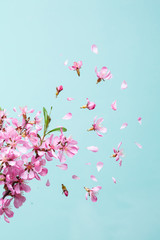 Obraz na płótnie Canvas Spring blossom explosion