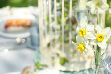 Bouquet of narcissus on blurred background