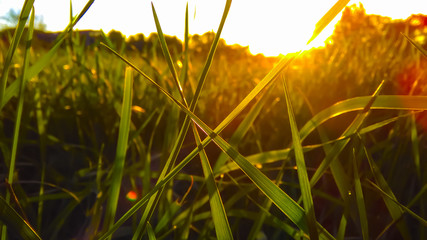 Early in the morning