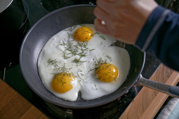 Fried eggs from a hen's egg in a frying pan with green dill leaves 
