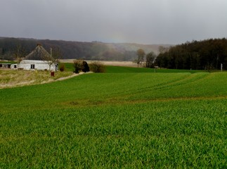 Haus am Feldrand