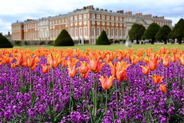 Hampton court et parterre de fleur