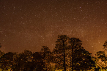 Fototapeta na wymiar lights over a lake on a starry night