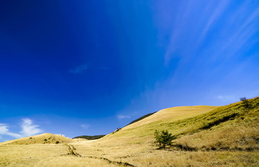 飯田高原　泉水山