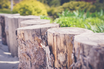 green garden with wooden fines
