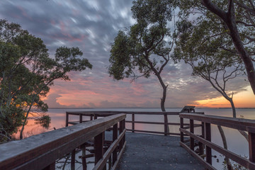 Fototapeta na wymiar Sunrise in the Mangroves.