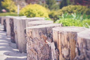 green garden with wooden fines