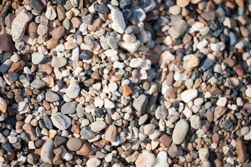On the shore, stones, woks, wands, branches, texture.