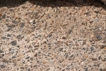 On the shore, stones, woks, wands, branches, texture.