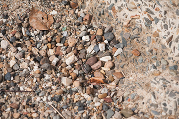 On the shore, stones, woks, wands, branches, texture.