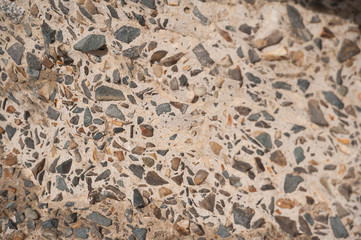 On the shore, stones, woks, wands, branches, texture.