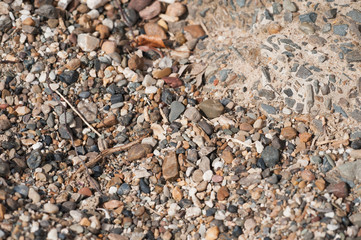 On the shore, stones, woks, wands, branches, texture.