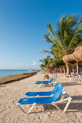 Palm trees, beach chairs and umbrellas on the beach in Mahahual, Mexico