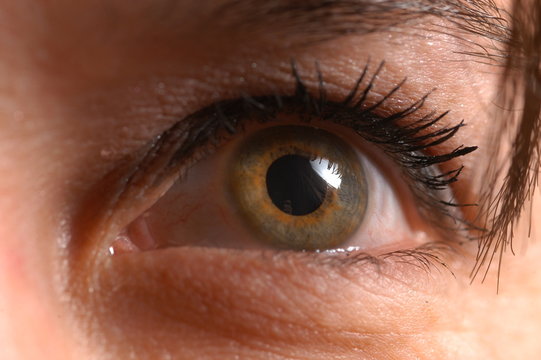 Ojos y miradas
