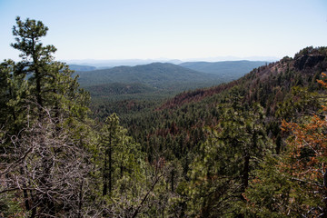 Mogollon Rim Vista View, Arizona