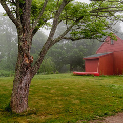 Canoe Behind the Shed