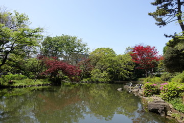 新緑の公園