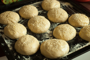 Fototapeta na wymiar Buns for burgers are prepared for baking