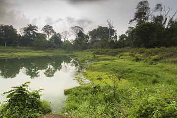 Jungle walks forest treks Asia
