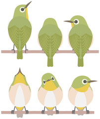 メジロ　ポーズ