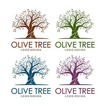 Olive Tree Design Logo Template