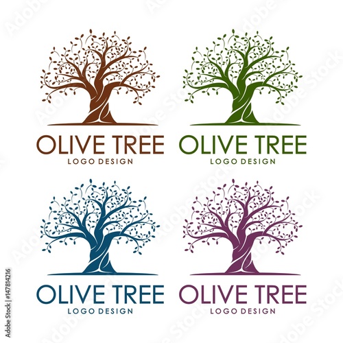 olive tree design logo