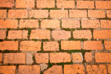 Brick floor background