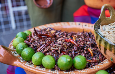 Eatable grasshoppers with lime, chapulin mexican food