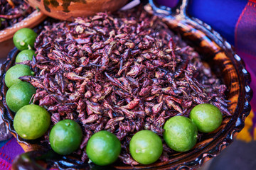 Eatable grasshoppers with lime, chapulin mexican food