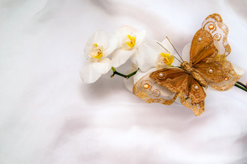 Decorative butterfly sitting against a white orchid 