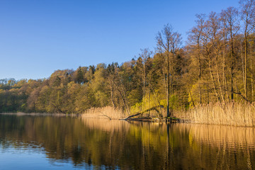Fototapeta na wymiar wiosenny poranek nad jeziorem Wadąg