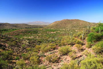 Desert mountain view as seen from the gift shop and cave entrance of Colossal Cave Mountain Park in Vail, Arizona, USA, near Tucson in the Sonoran Desert.