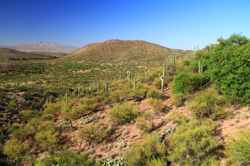 Desert mountain view as seen from the gift shop and cave entrance of Colossal Cave Mountain Park in Vail, Arizona, USA, near Tucson in the Sonoran Desert.