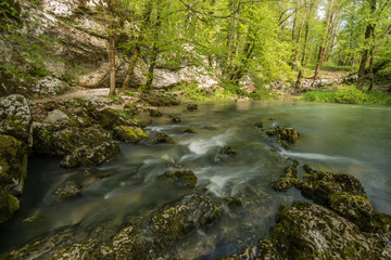Obraz premium Scenic green landscape of Unesco protected regional park Rakov Skocjan in Slovenia during springtime