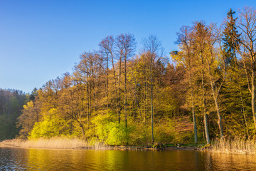 Fototapeta na wymiar wiosenny poranek nad jeziorem Wadąg