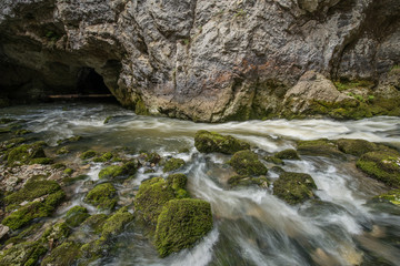 Naklejka na ściany i meble Scenic karst river Rak in Unesco protected Rakov Skocjan national park in Slovenia 