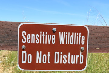 Sensitive wildlife do not disturb 8836