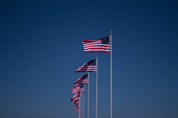 American flags