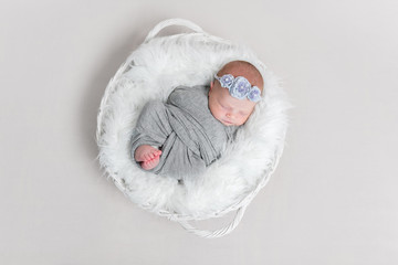 baby wrapped in blanket, in white basket, topview