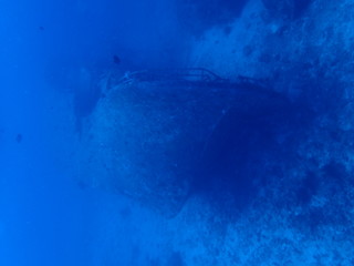 インド洋の沈船