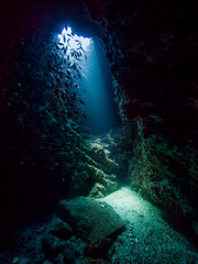 Light coming through a hole in the ceiling of a coral cave called "the Chimney"