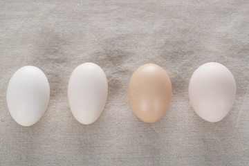 Four eggs on the table