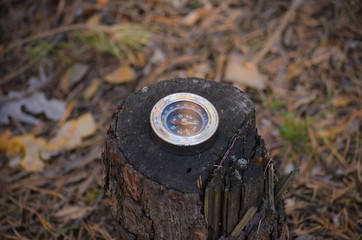 Compass lying on the stump