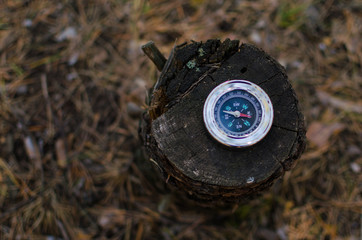 Compass lying on the stump
