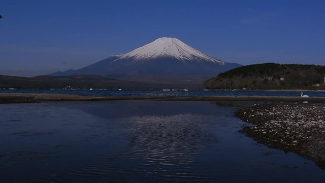 Le Mont Fuji est le cygne nage sons des coups de feu Au Lac"Yamanaka" zone"hirano" avec son