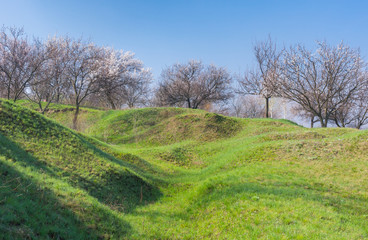 Landscape with flowering orchard on a hill in Ukraine