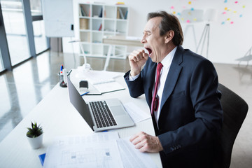 Mature businessman at workplace