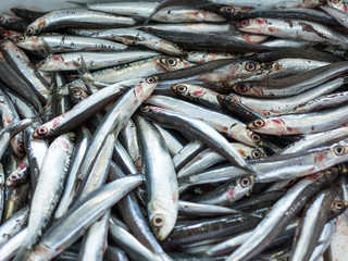 Obraz premium European anchovy in a seafood market