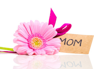 gerbera till mamma på mors dag med text speglas i vitt bord © annaia
